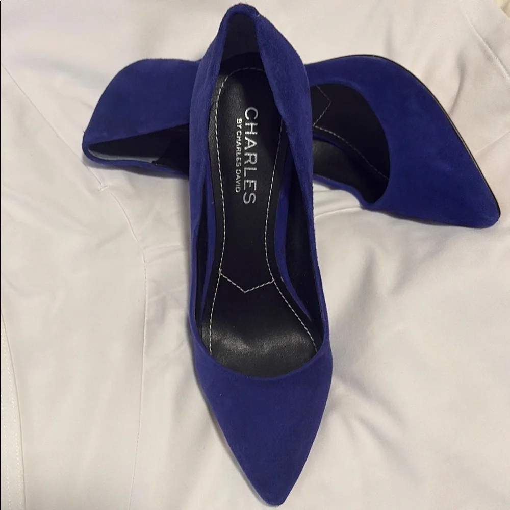 Charles David Blue Suede Pointed-Toe Heels - Picture 2 of 3